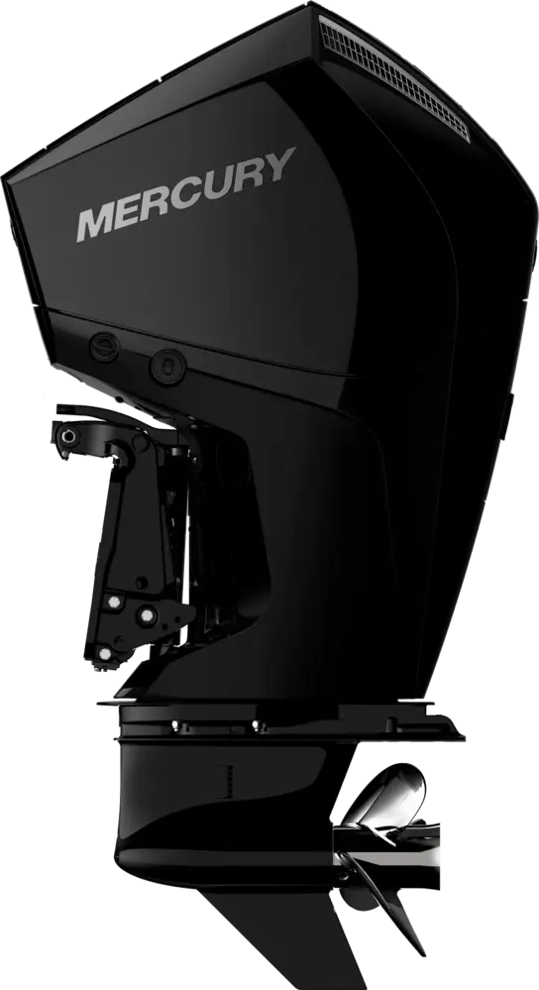 Mercury Basis